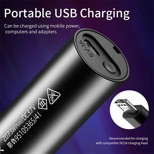uv-flashlight-99.jpg