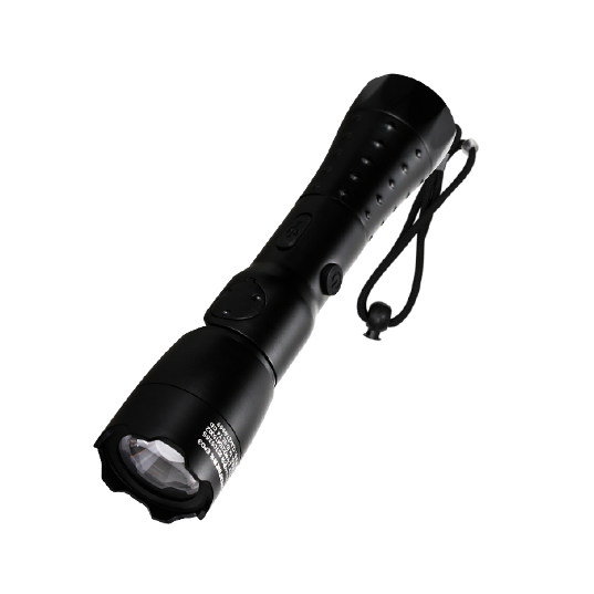 Professional Lights